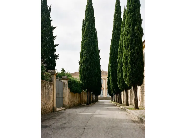 ingresso giardino