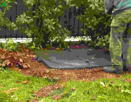 Introduzione alle tecniche di giardinaggio